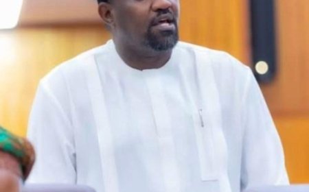 No Rice Disappeared Under Government Programme- Dumelo Insists
