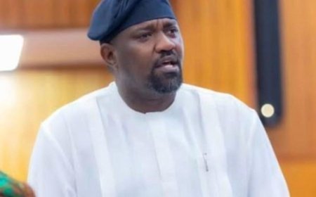 No Rice Disappeared Under Government Programme- Dumelo Insists