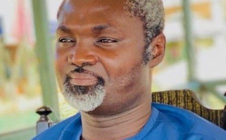 Dr Owusu Afriyie Akoto Loses Campaign Spokesperson