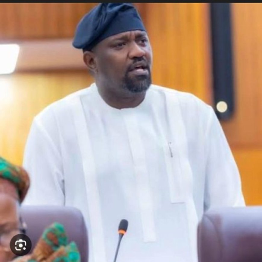 No Rice Disappeared Under Government Programme- Dumelo Insists