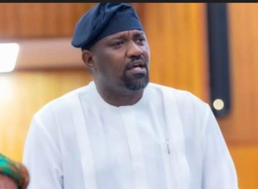 No Rice Disappeared Under Government Programme- Dumelo Insists