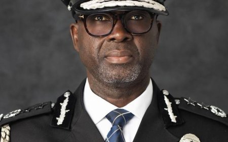 NPP’s ‘Democracy Under Attack’ Protest:  National Security  On High Alert As State Intel Corridor Smell Rats In Oncoming Demo